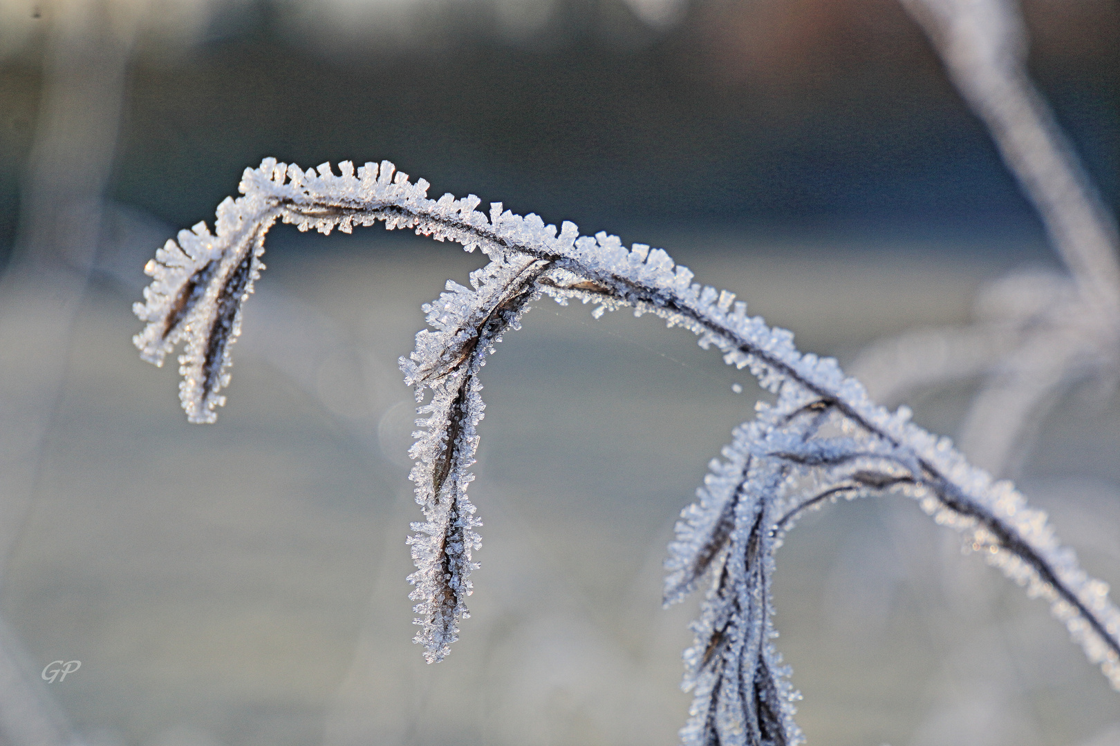 frostige Zeiten