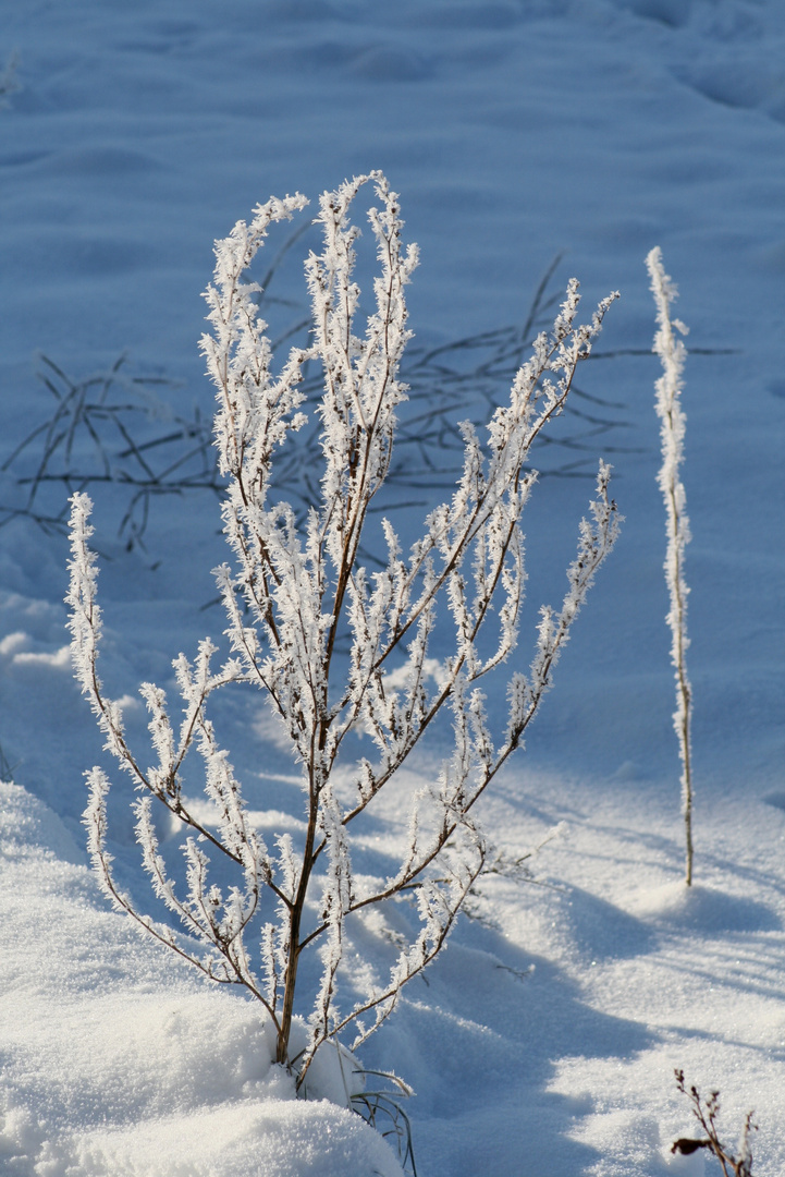 Frostige Zeiten