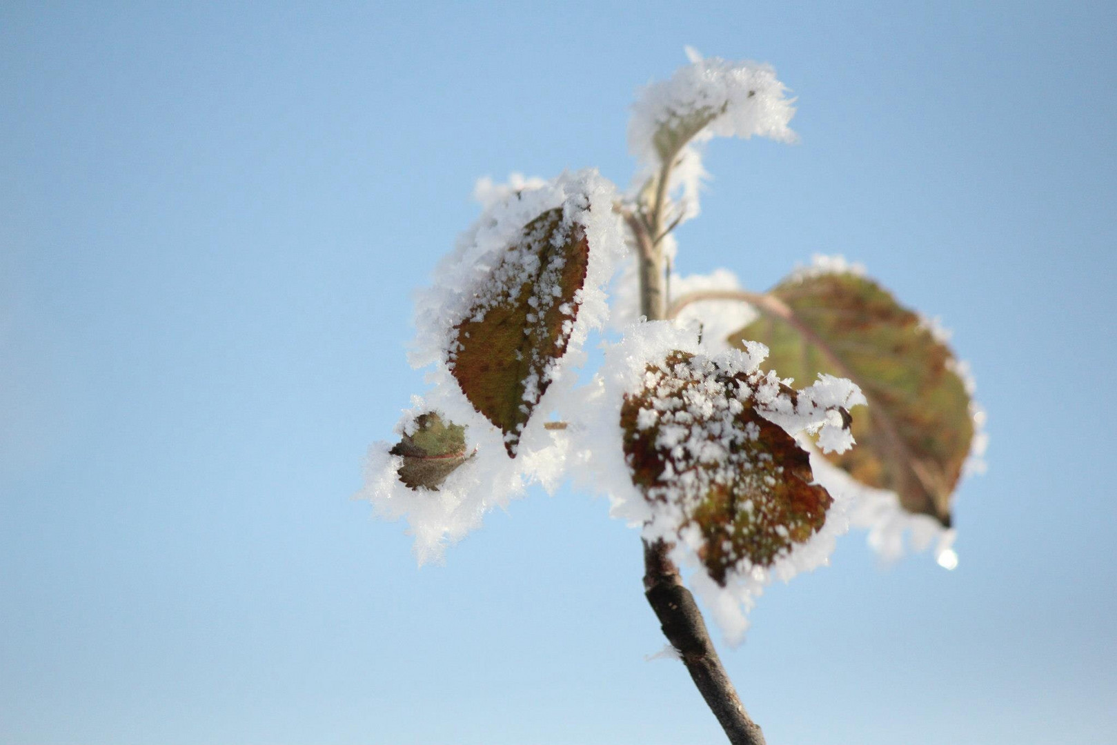 Frostige Zeiten