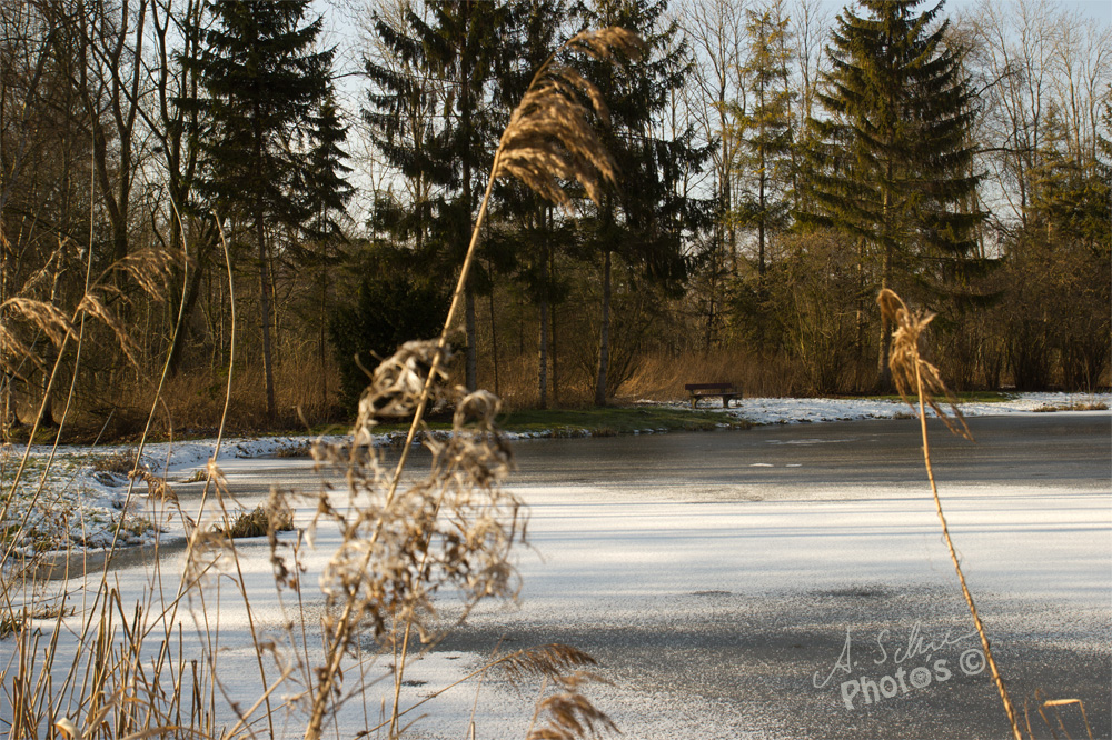 Frostige Zeiten