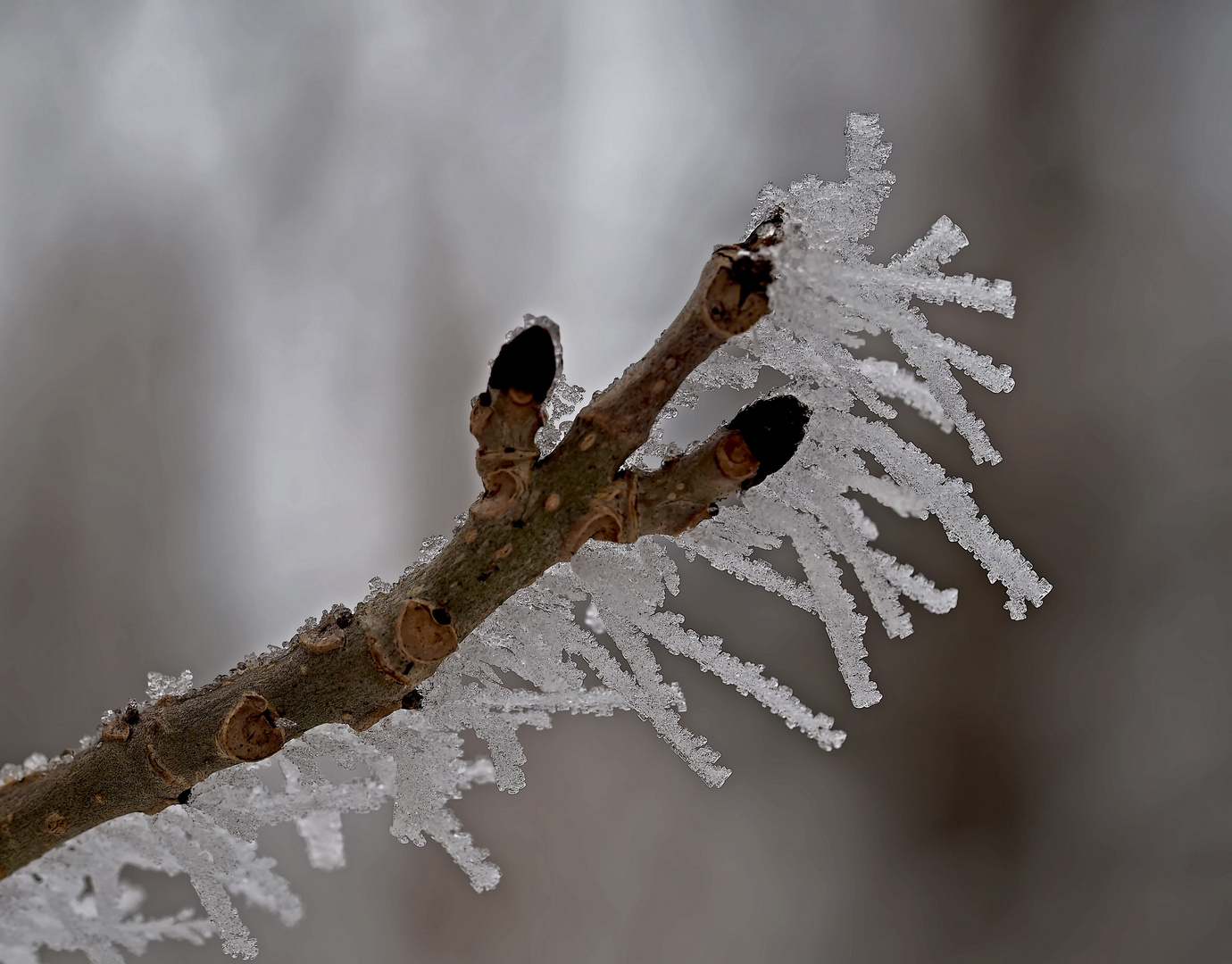 Frostige Zeiten...