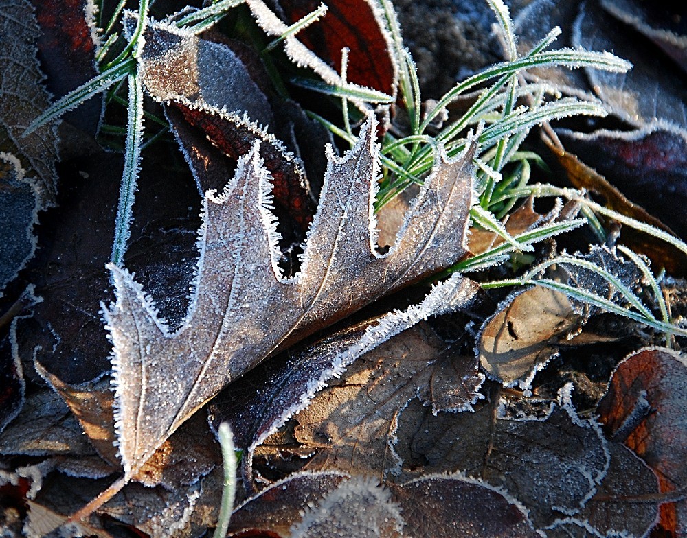 Frostige Zeiten