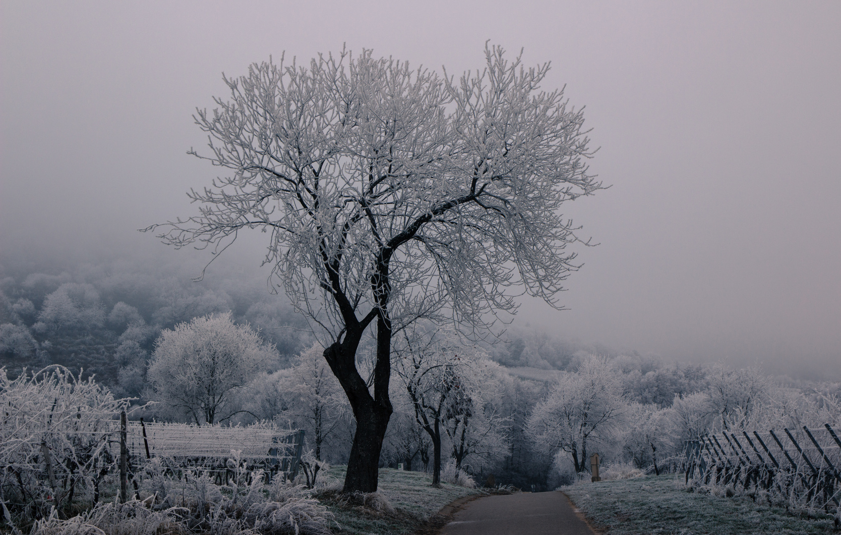 Frostige Zeiten