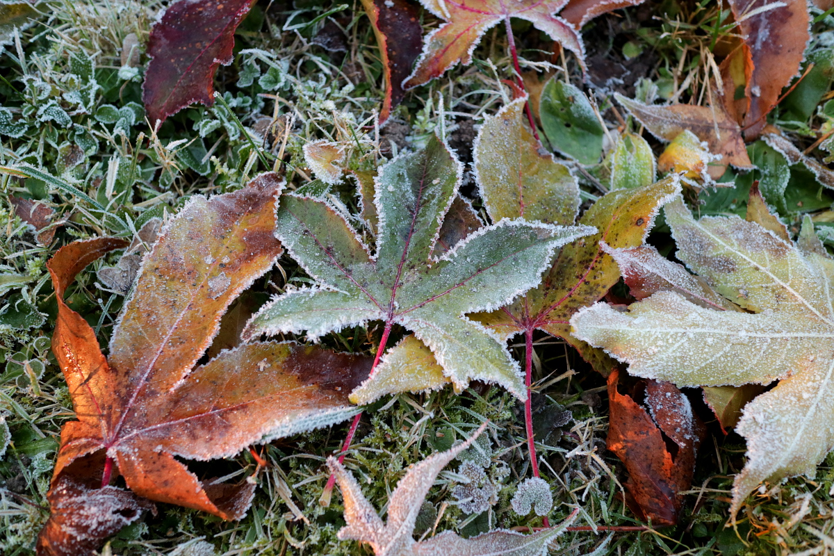 Frostige Zeiten ...