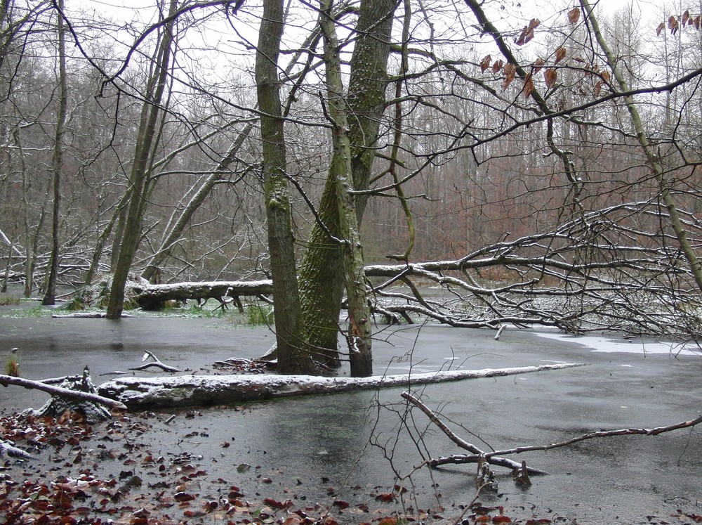 Frostige Zeiten