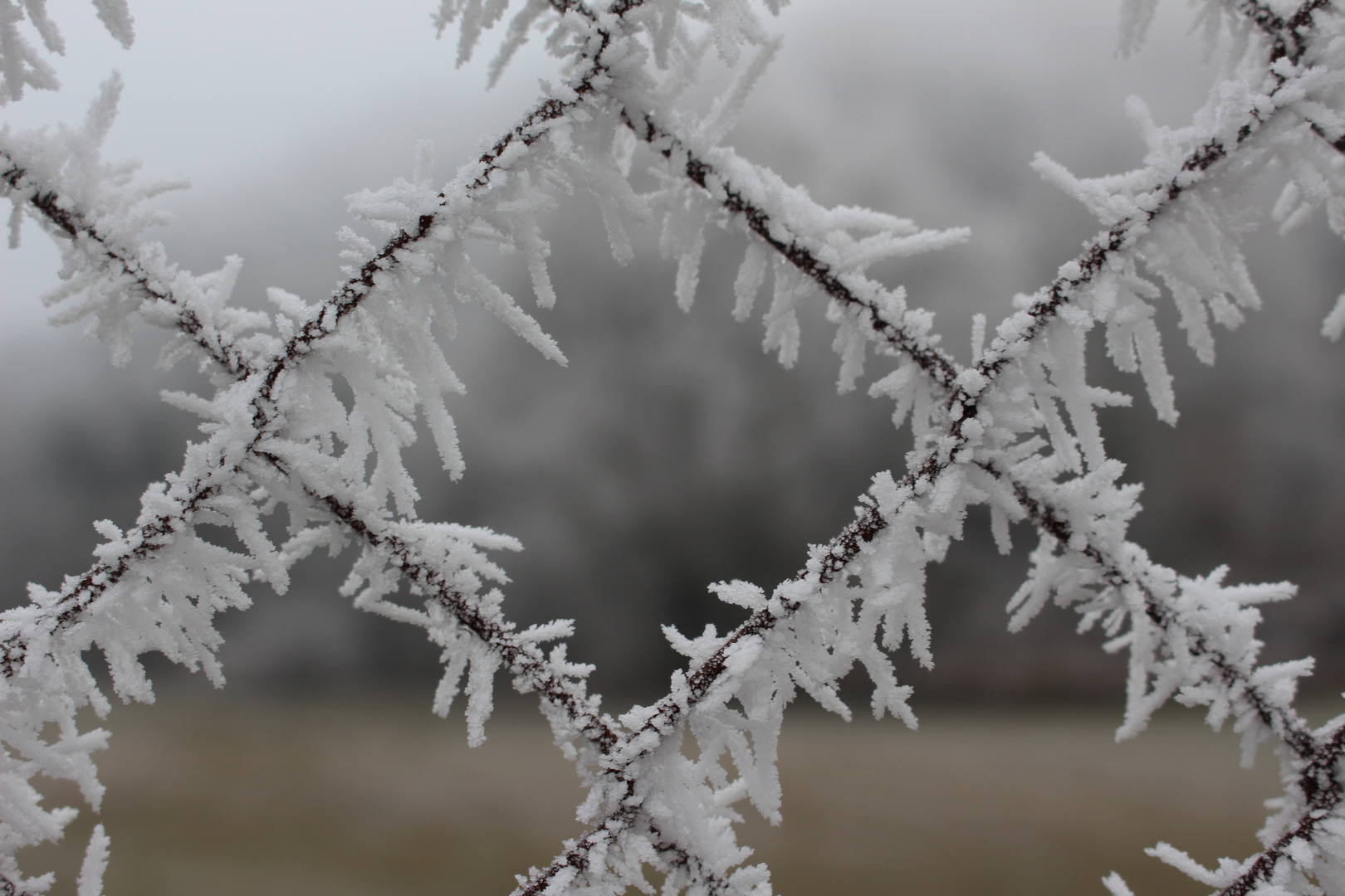 frostige Zeiten