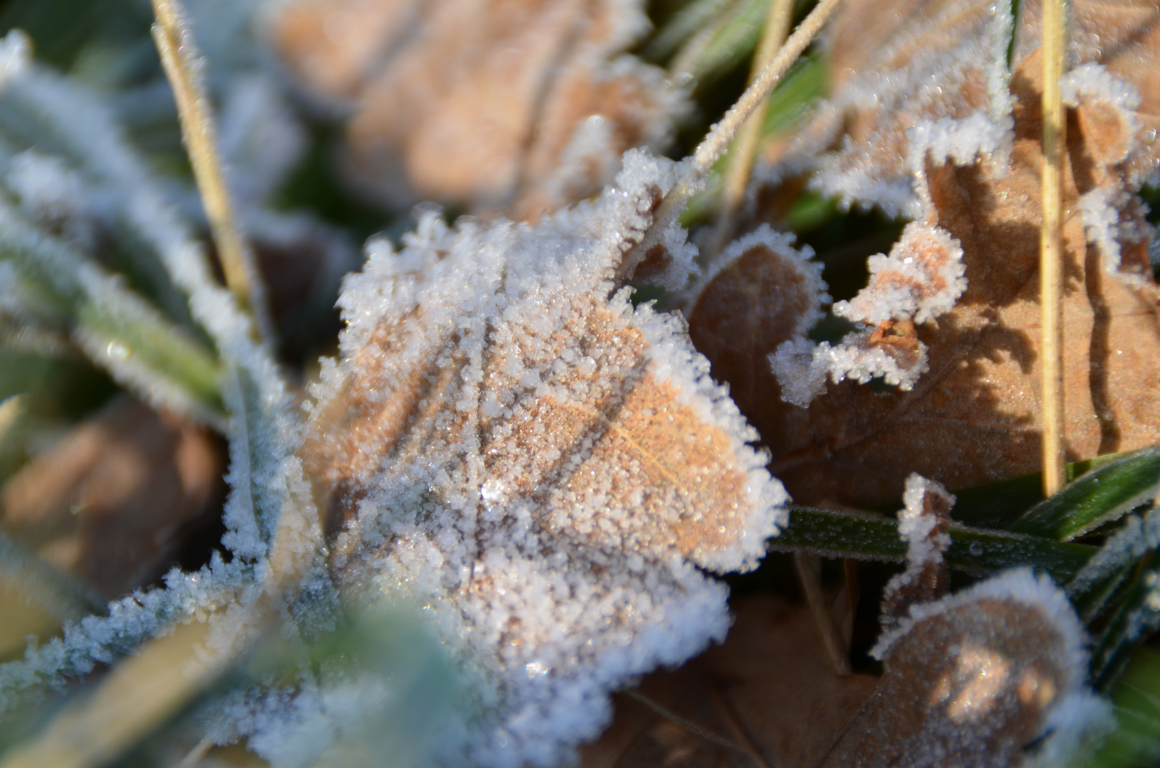 frostige Zeiten