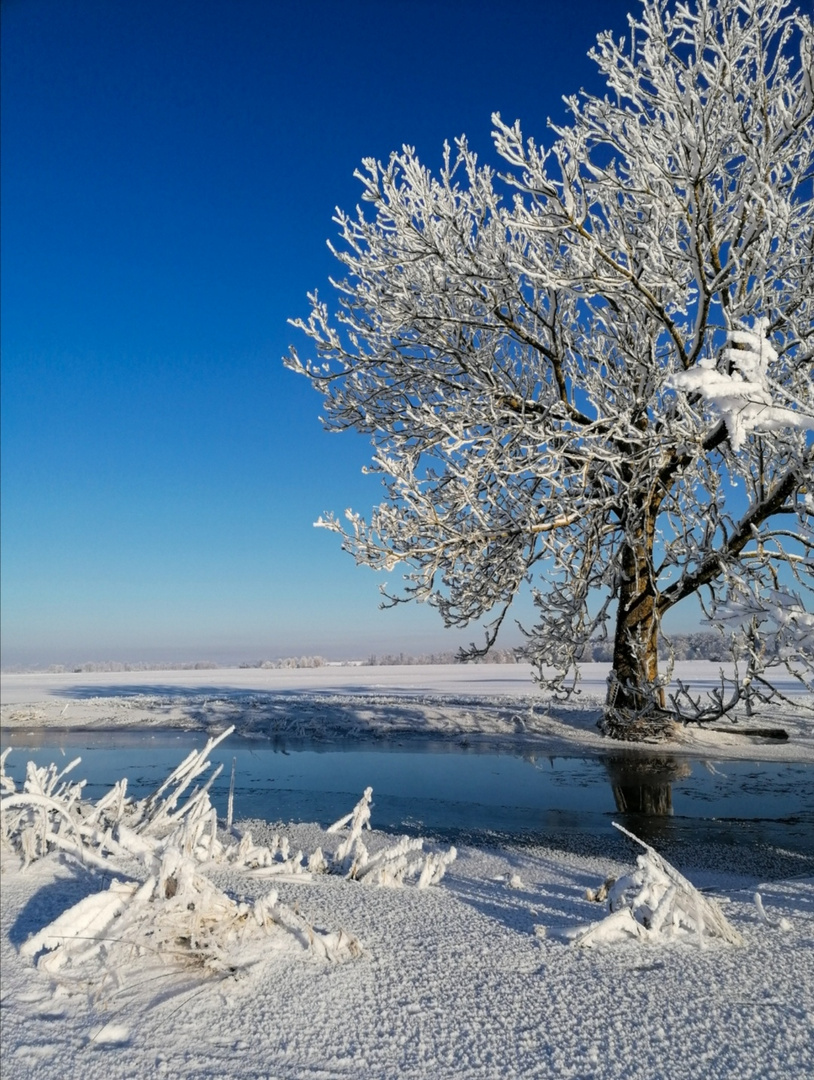 ***Frostige Zeiten***