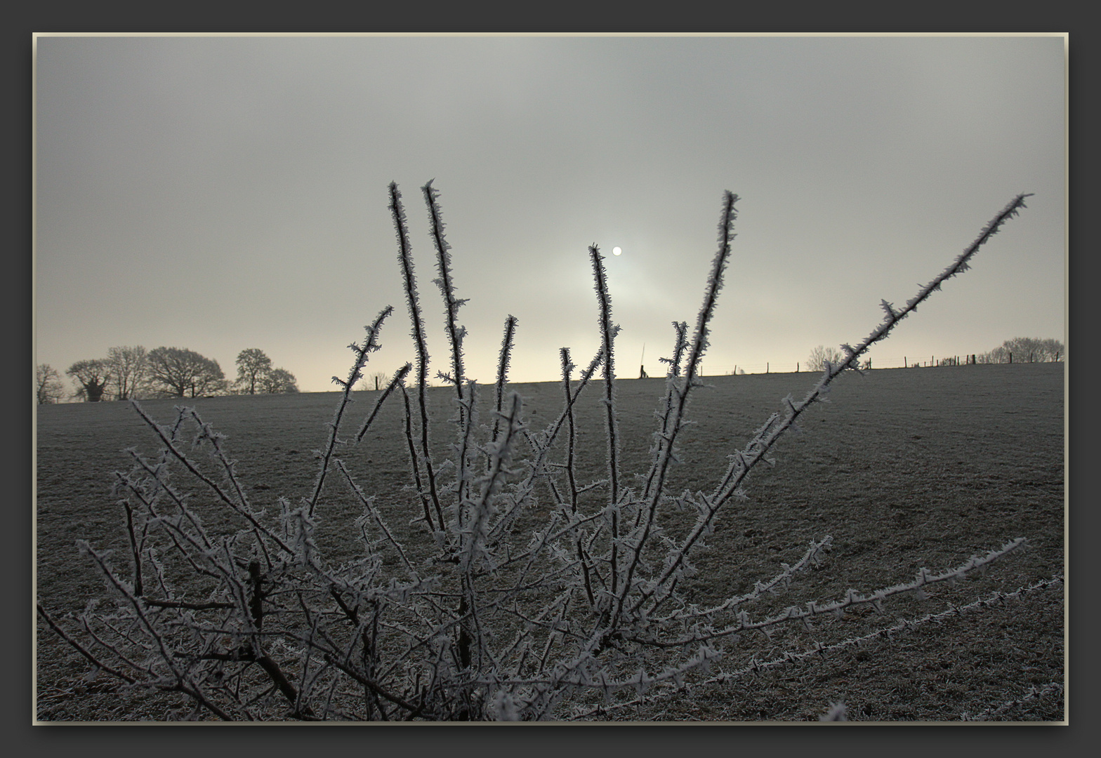 Frostige Zeiten