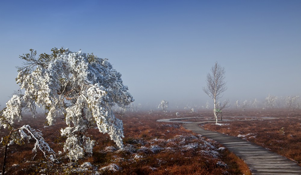 frostige Zeiten