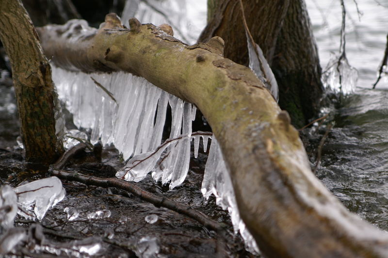 Frostige Zeiten