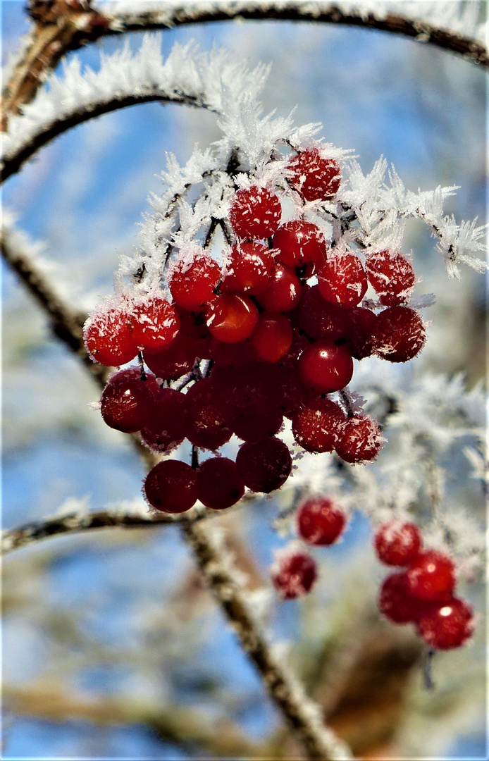 Frostige Zeiten 