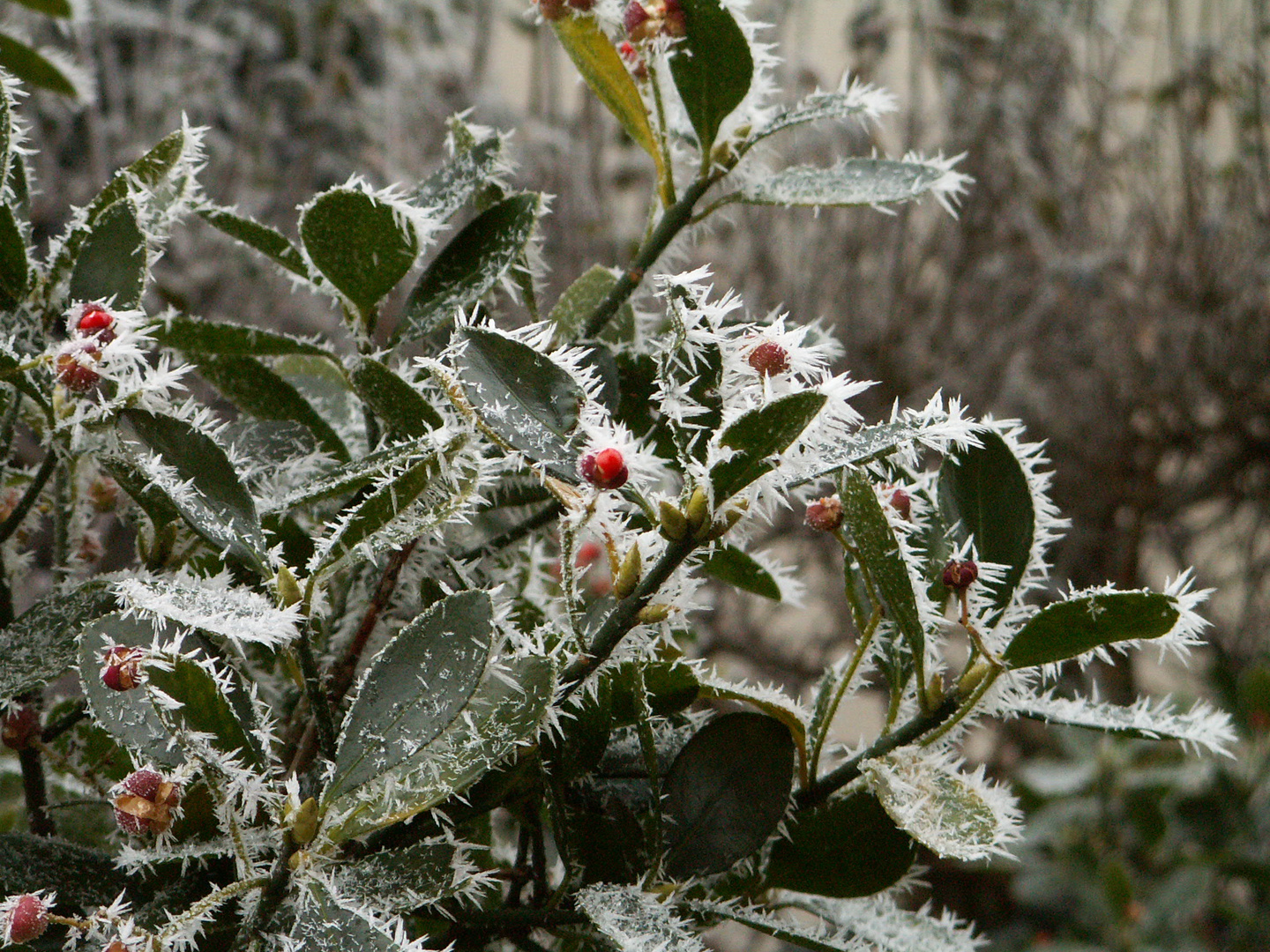 Frostige Zeiten