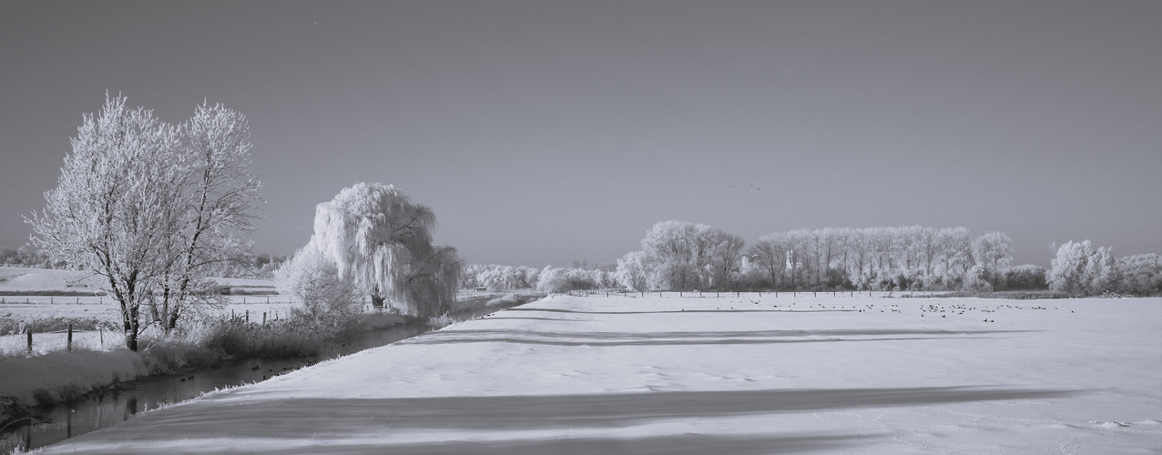 frostige zeiten