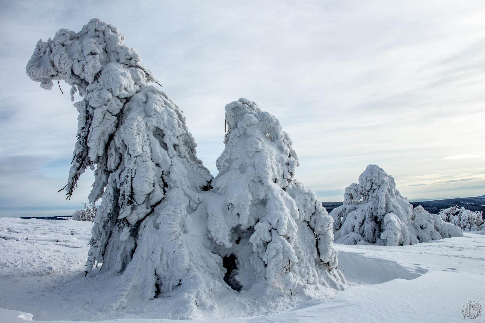 Frostige Zeiten 