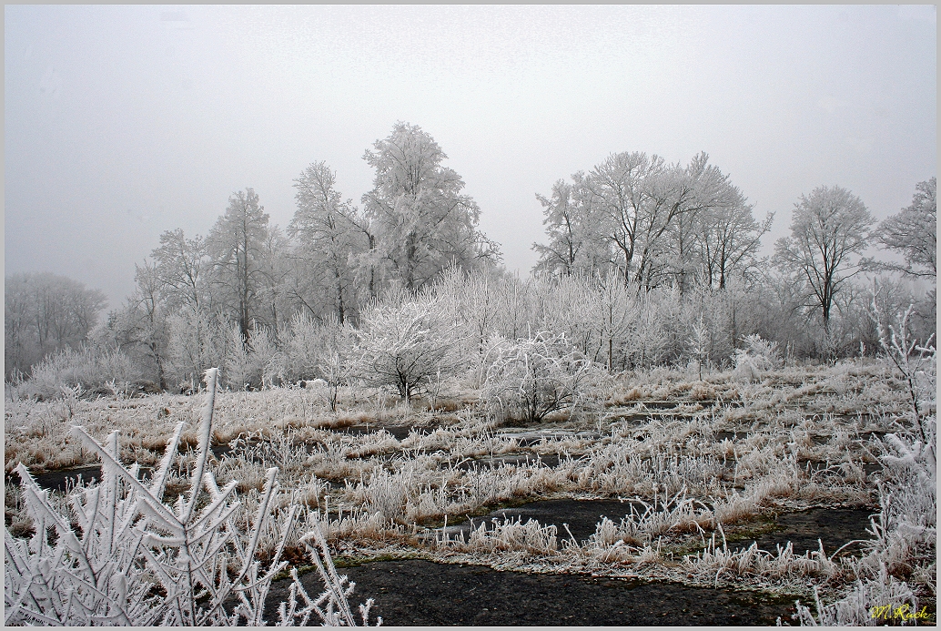 Frostige Zeiten 