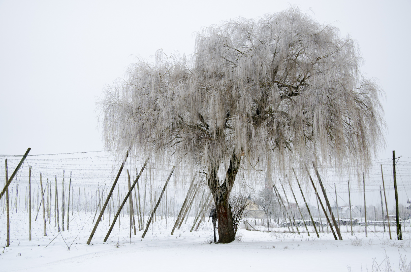 Frostige Zeiten