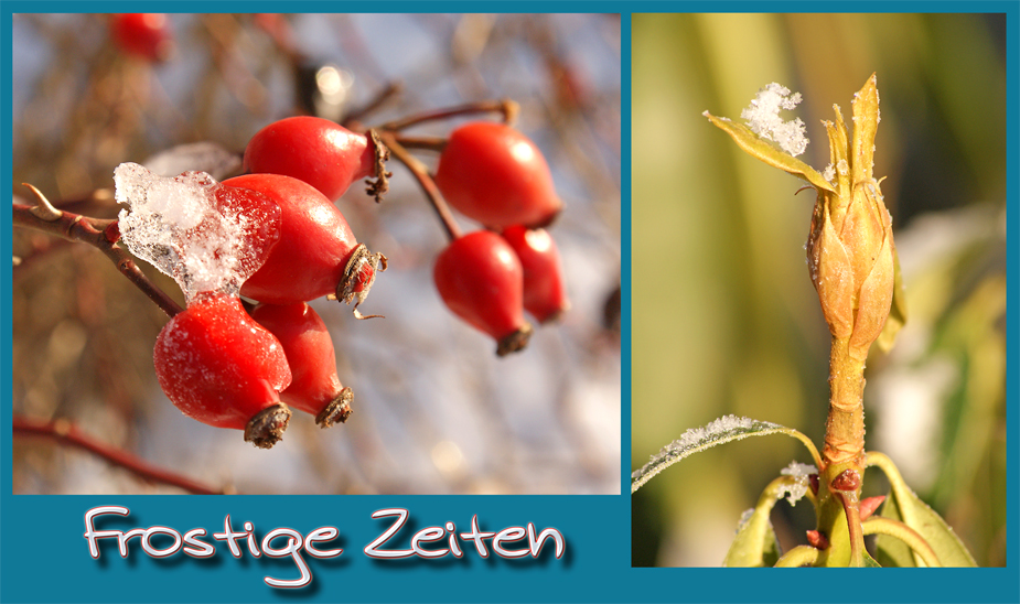 Frostige Zeiten