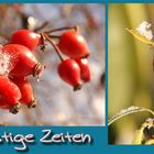 Frostige Zeiten