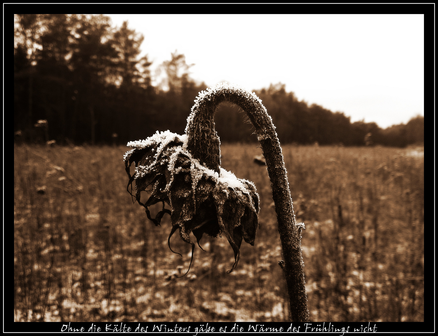 Frostige Zeiten