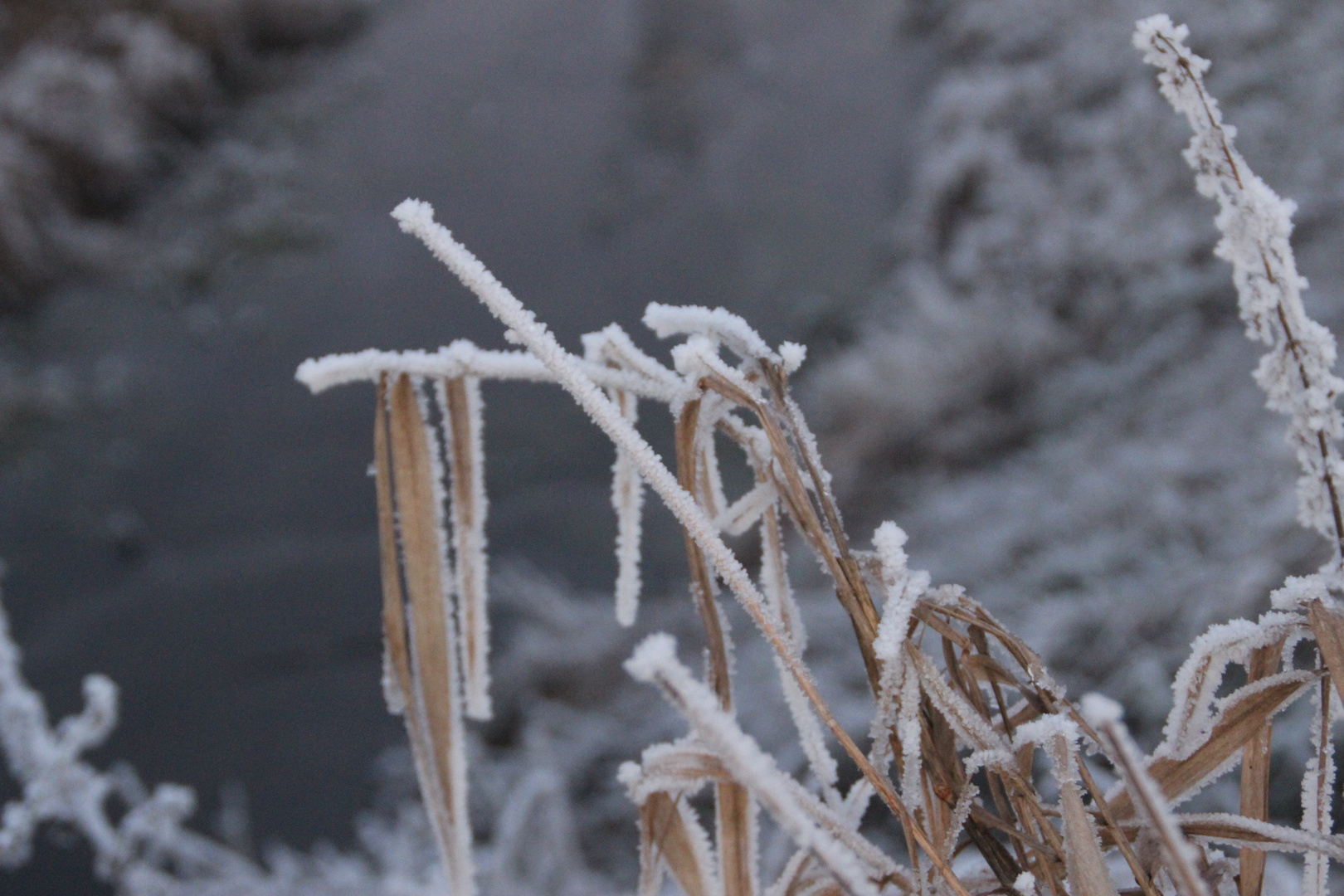 Frostige Zeiten