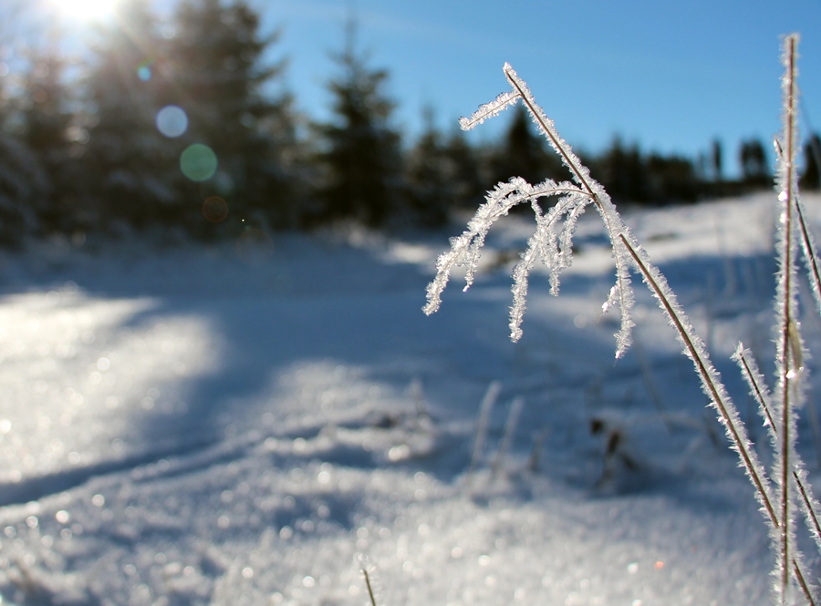 Frostige Zeiten