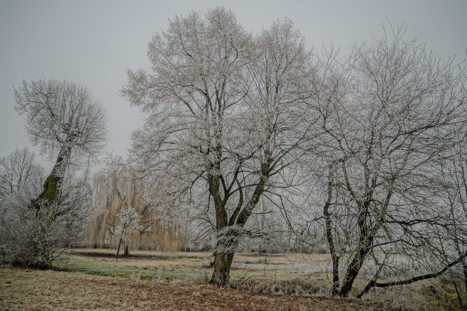 Frostige Zeiten