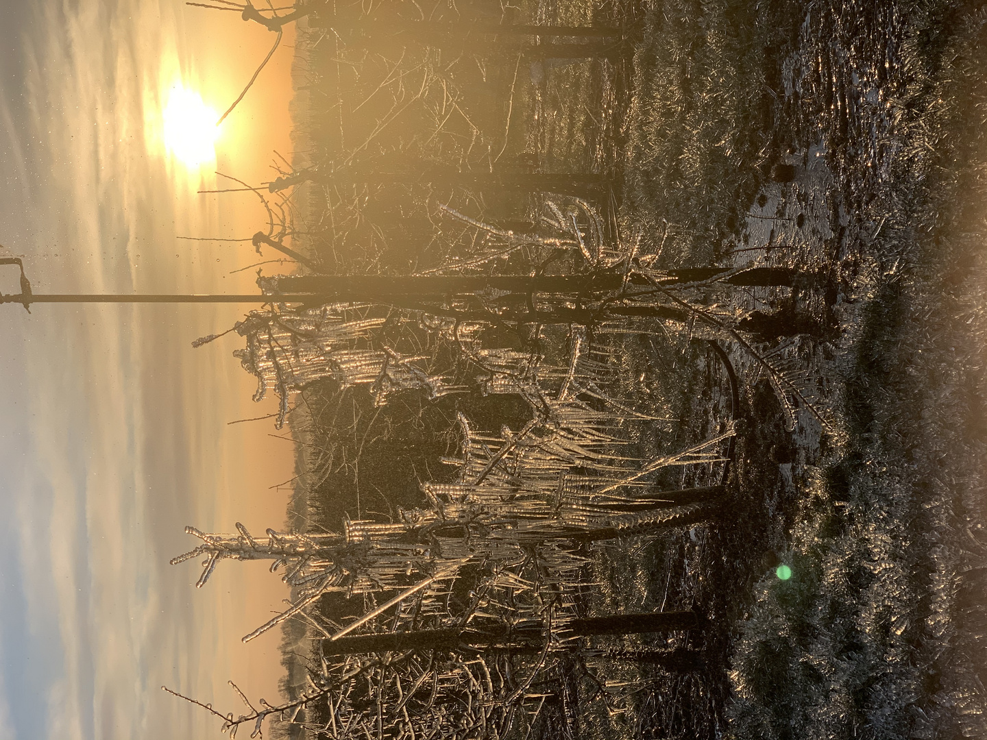 Frostige Zeiten im Alten Land