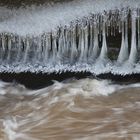 ...frostige Zeiten im tiefen Wald