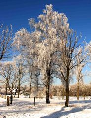 Frostige Zeiten in NRW