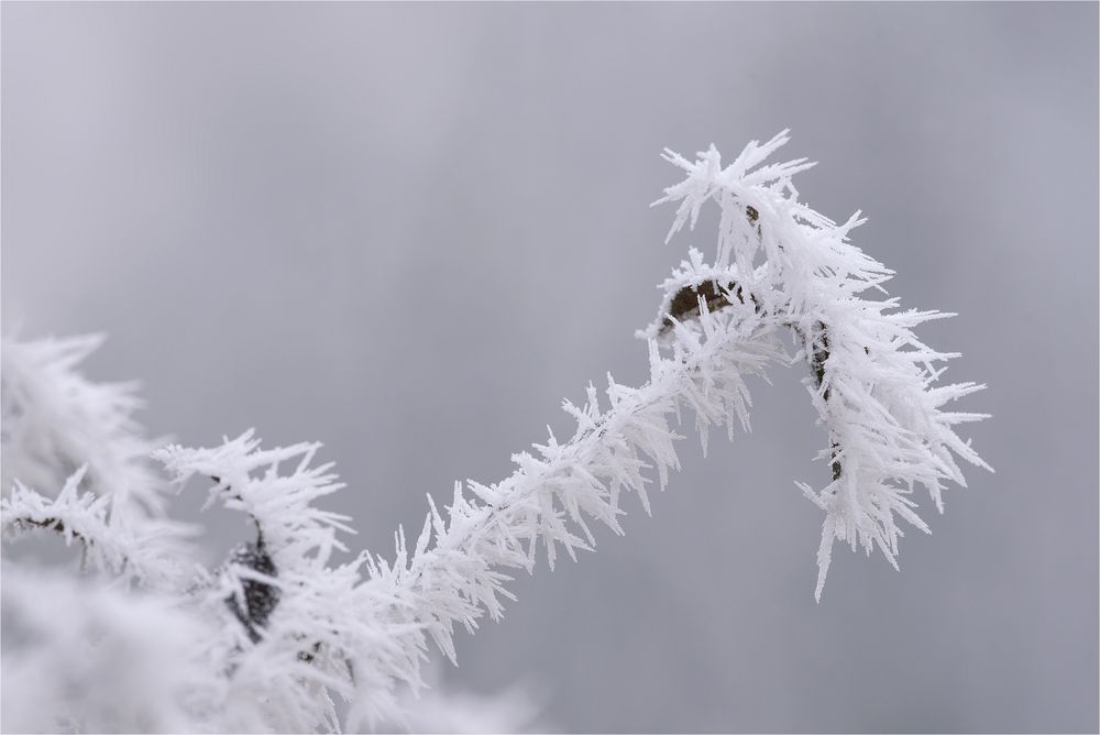 frostige Zeiten VI