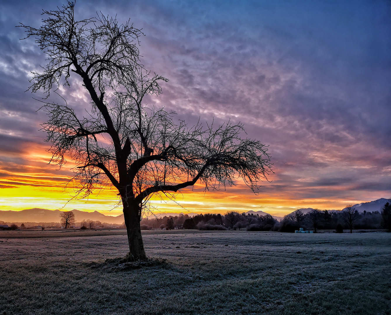 Frostigen sonnenaufgang 