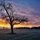 Frostigen sonnenaufgang 