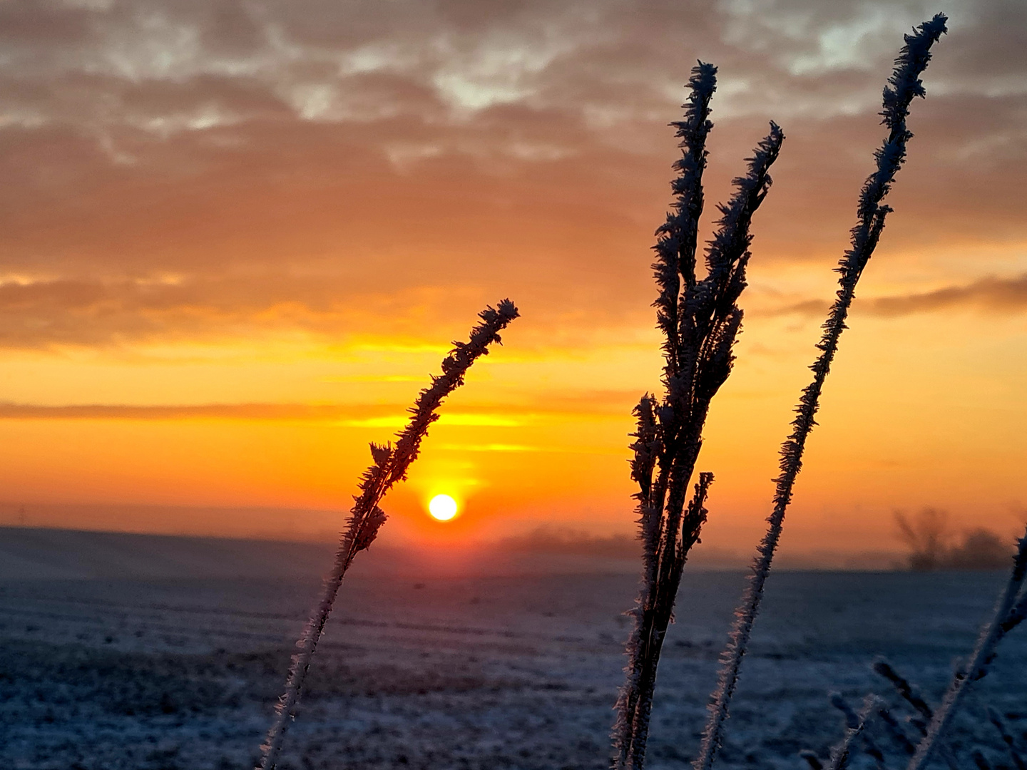 Frostiger Abend 