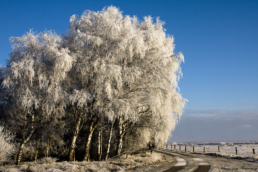 frostiger Advent