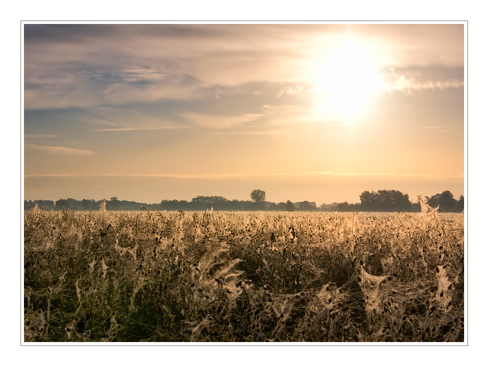 Frostiger Altweibersommermorgen.