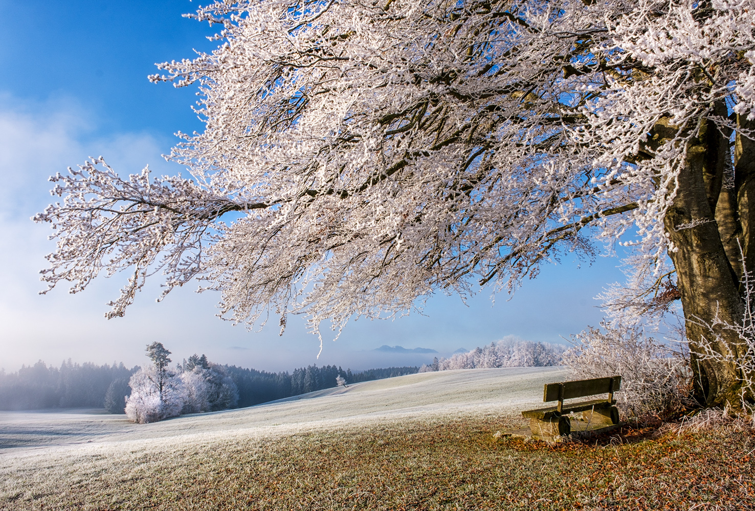 frostiger ausblick