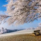 frostiger ausblick