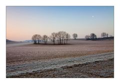 Frostiger Einzug des Frühlings