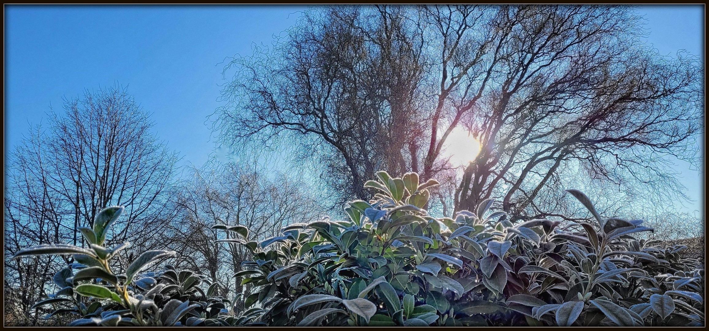 Frostiger Februar-Morgen