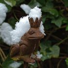 (F)rostiger Froschkönig im (Neu-) Schnee, mit PSE15 bearbeitet