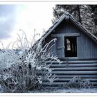 Frostiger Frühling