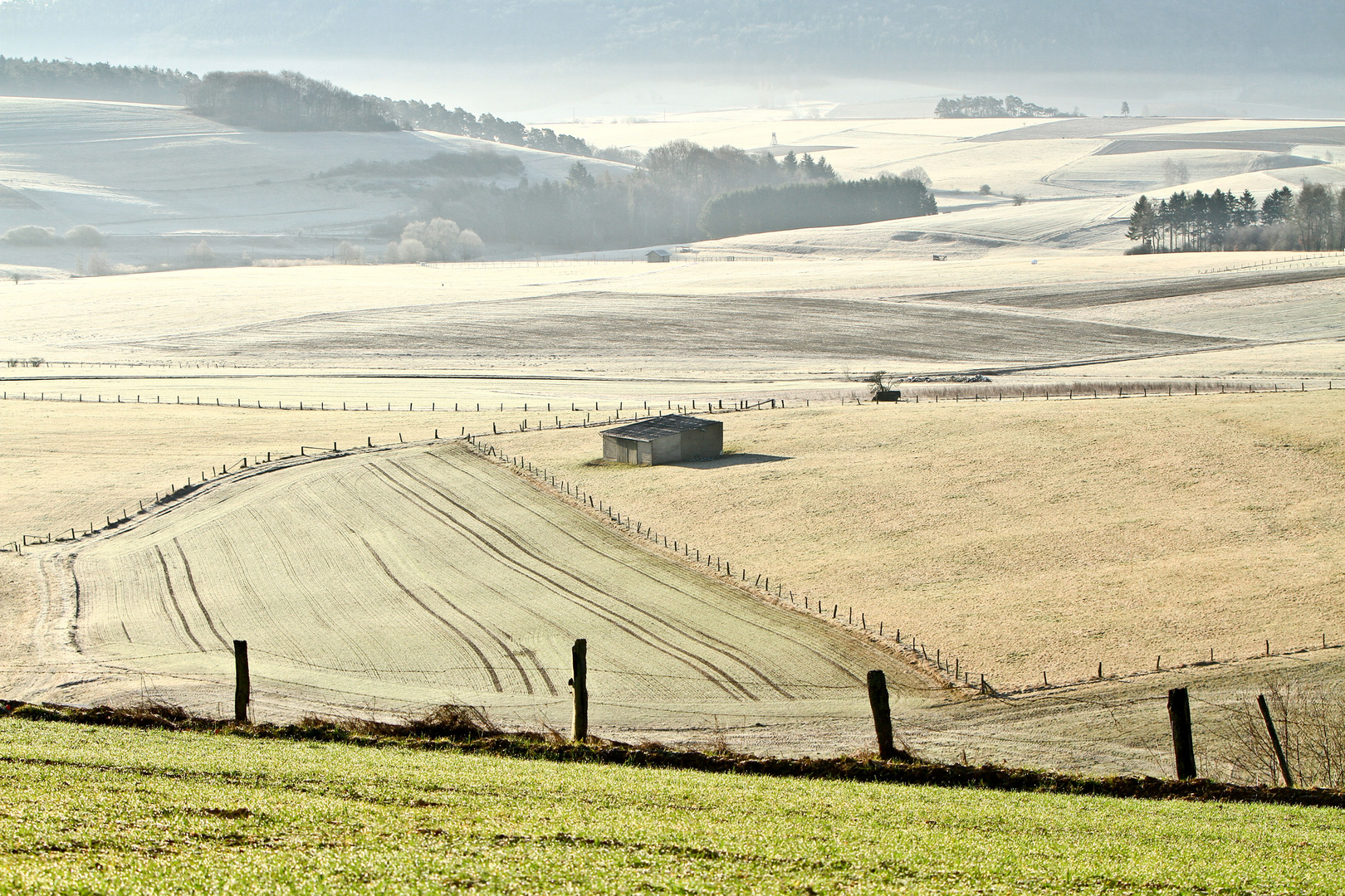 Frostiger Frühling