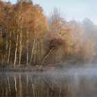 frostiger Frühlingsmorgen