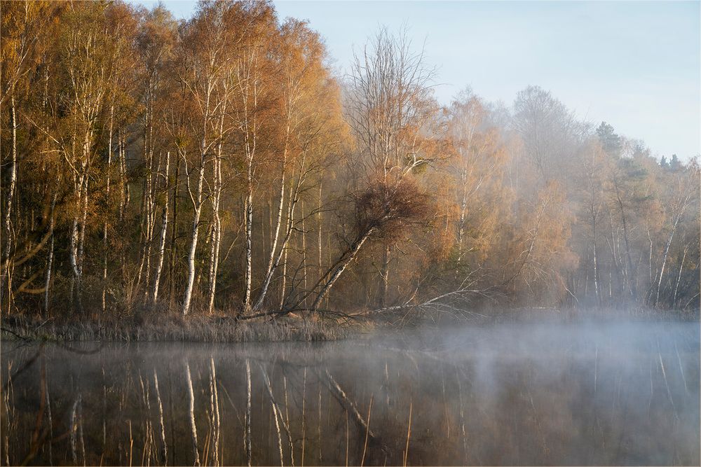 frostiger Frühlingsmorgen