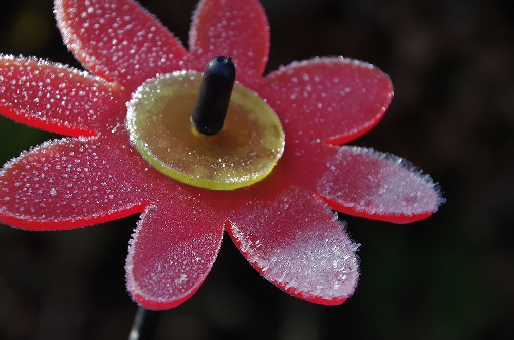 frostiger Gartenstecker