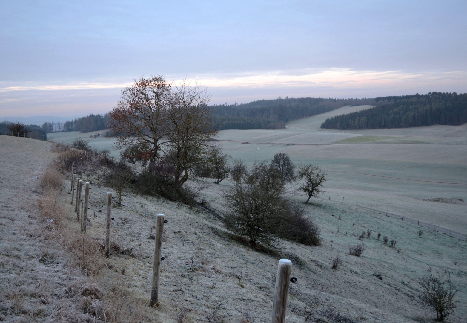 Frostiger grauer Morgen, ein Wintermärchen 2014