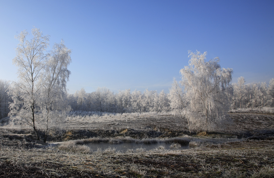 frostiger Heidesee von Petra Dindas