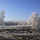 frostiger Heidesee