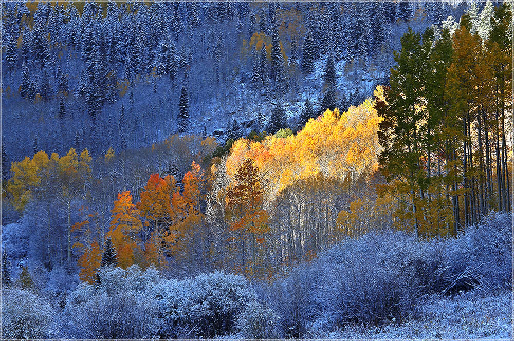 Frostiger Herbst